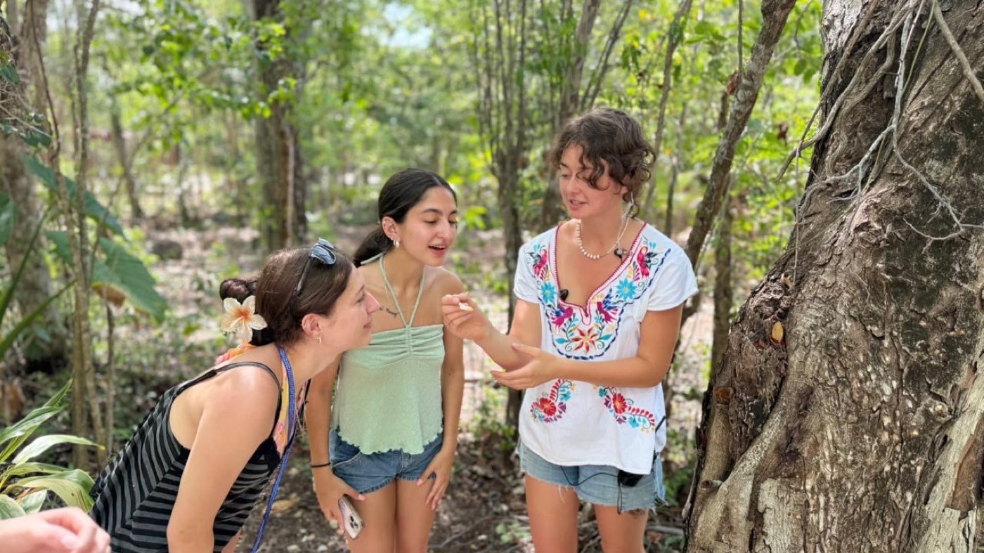 Guests meeting the stingless bees